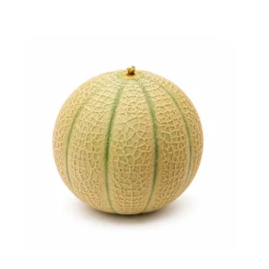 Canteloupe Melons (6 pieces)