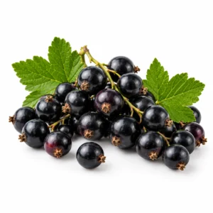 Blackcurrants (8 x 150gr)